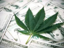 Cannabis Investing Money